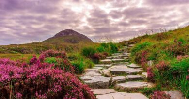 25 Great Things To Do In Ireland