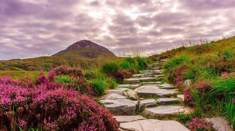 25 Great Things To Do In Ireland