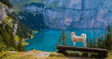 Switzerland 12 Most Beautiful Dream Vacation Destinations